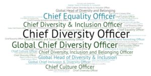 chief diversity officer (CDO)