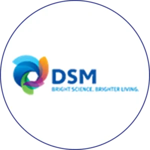 Logo da empresa DSM cliente da CKZ Diversidade